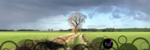 #treetwoproject november