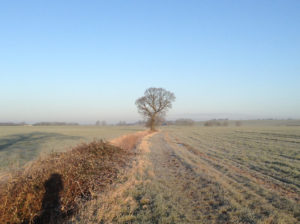 2016-02-19-08_04_08.24