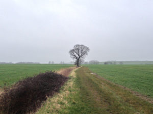 #treetwoproject