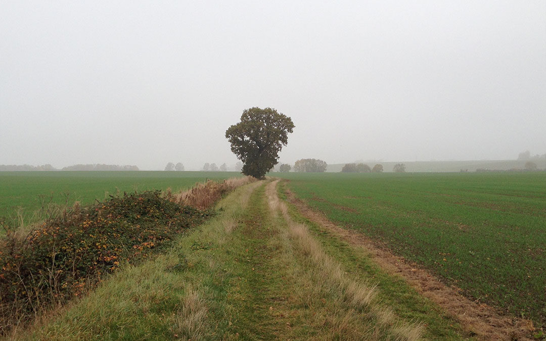 2015-10-27-07-43-37